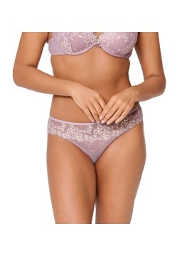 Lingadore Tender Taupe Brief